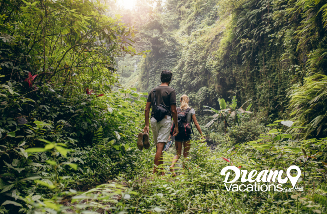 Couple hiking in rainforest